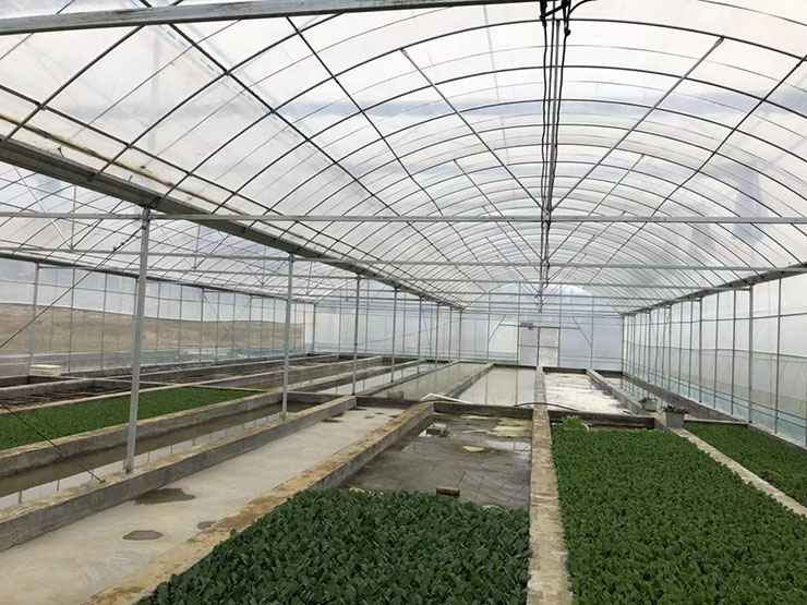 人生就是搏·(中国区)官方网站