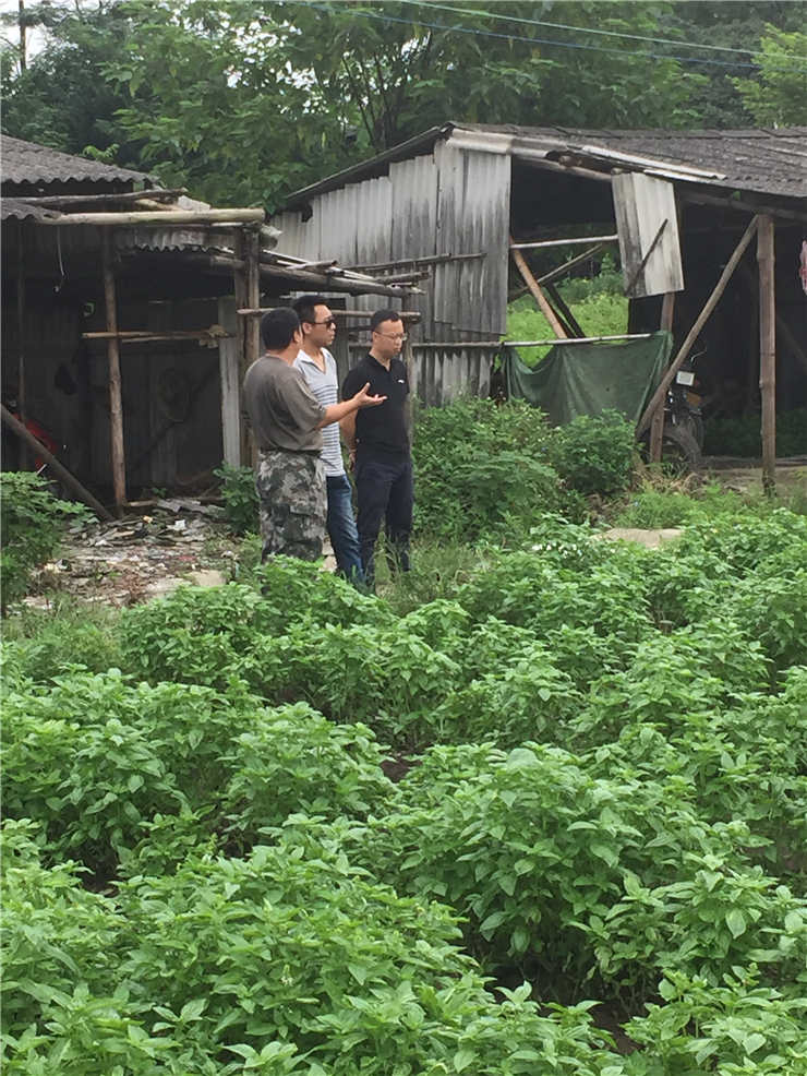 人生就是搏·(中国区)官方网站