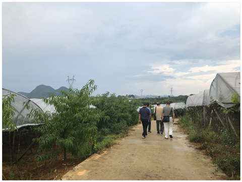 人生就是搏·(中国区)官方网站