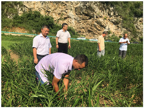 人生就是搏·(中国区)官方网站