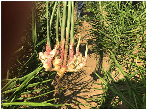 人生就是搏·(中国区)官方网站