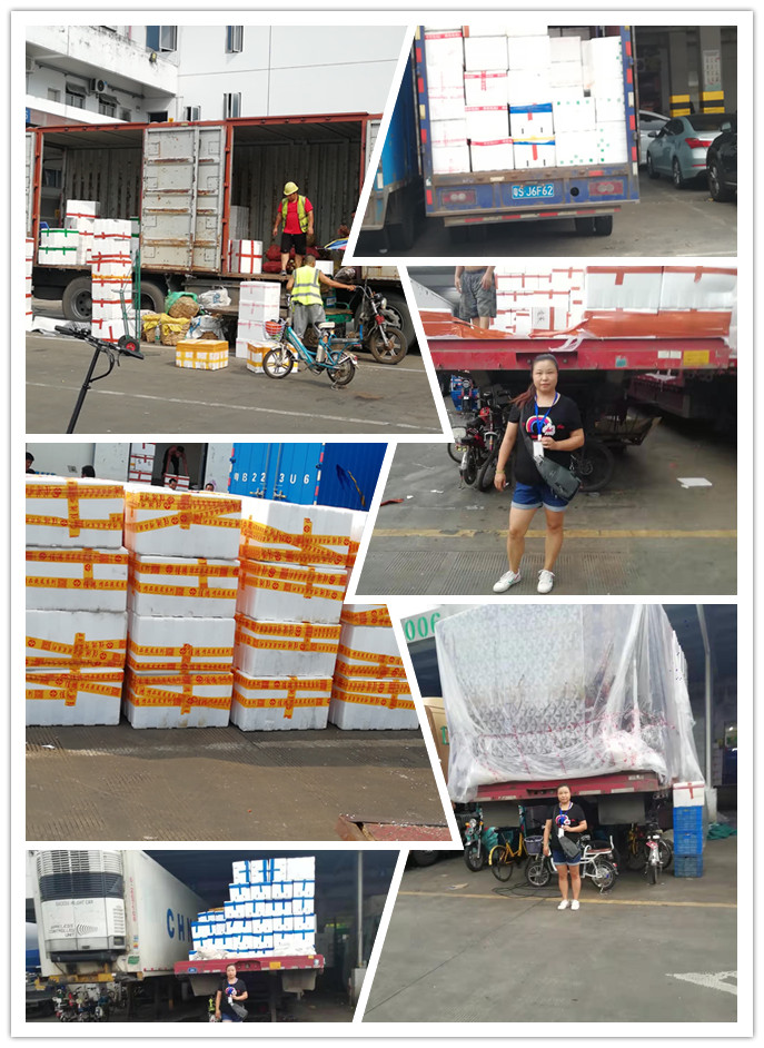 人生就是搏·(中国区)官方网站