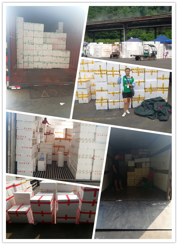 人生就是搏·(中国区)官方网站