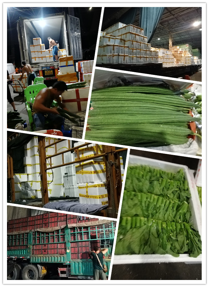 人生就是搏·(中国区)官方网站