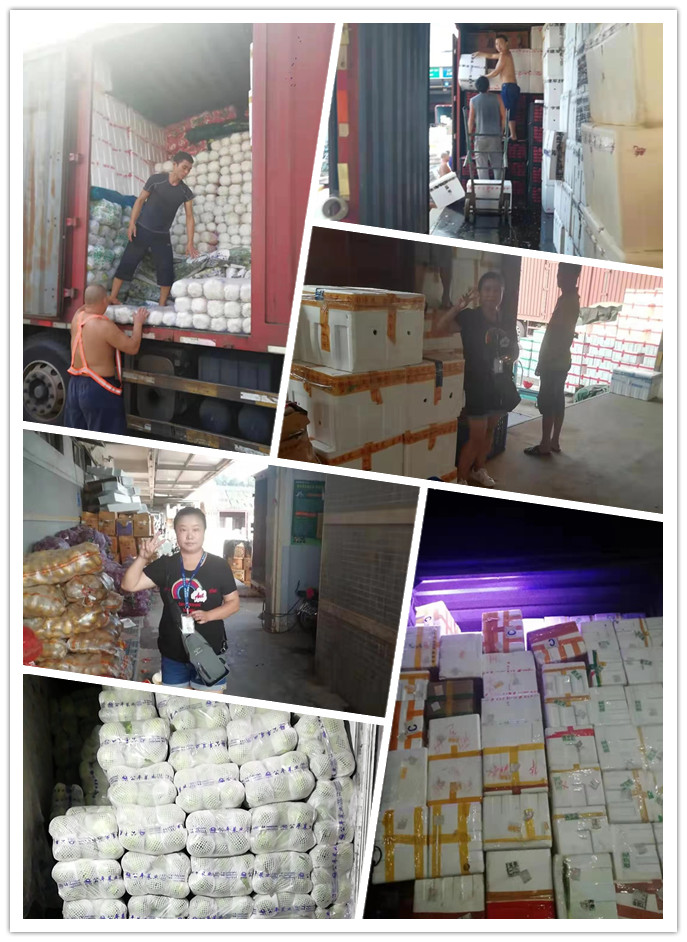 人生就是搏·(中国区)官方网站