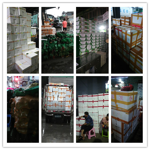 人生就是搏·(中国区)官方网站