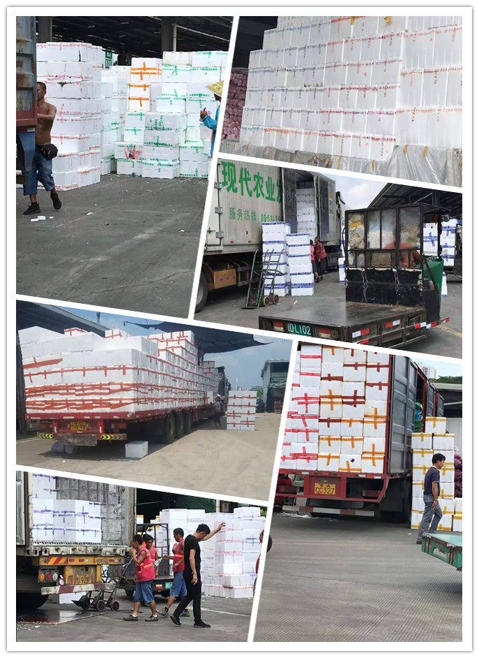 人生就是搏·(中国区)官方网站