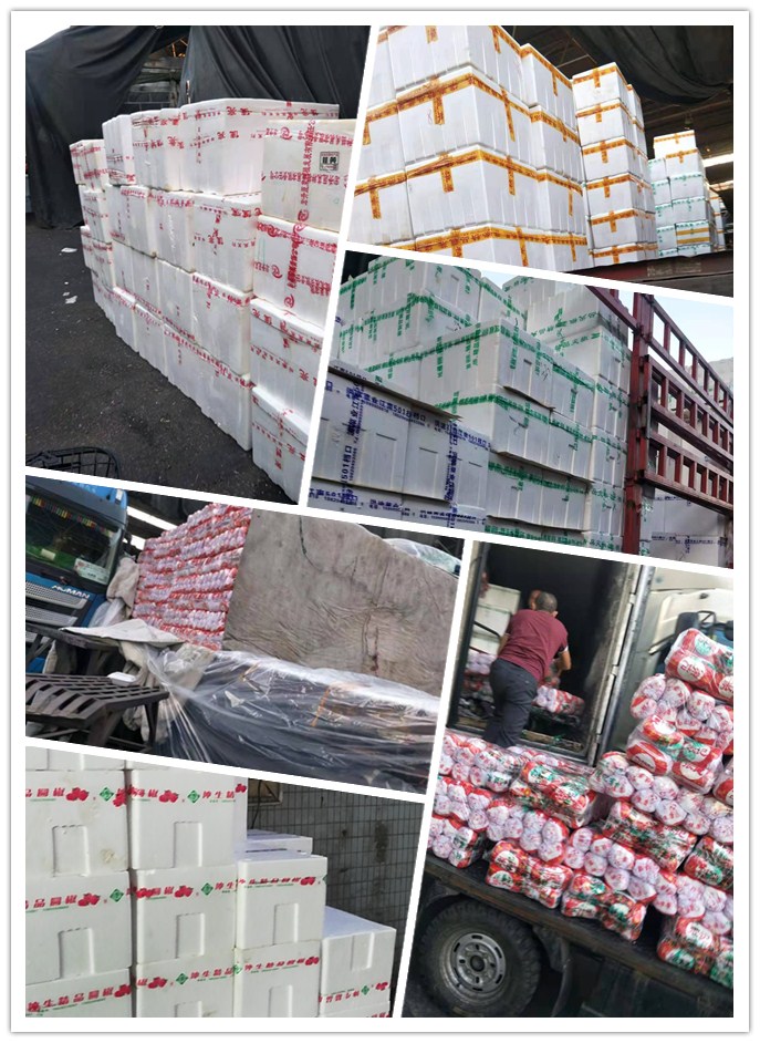 人生就是搏·(中国区)官方网站