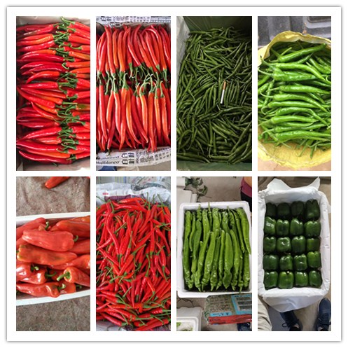 人生就是搏·(中国区)官方网站