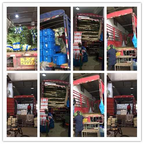 人生就是搏·(中国区)官方网站