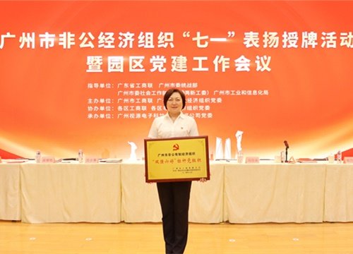 标杆引领，荣誉升级！集团党支部荣膺广州市非公有造经济组织“双强六好”标